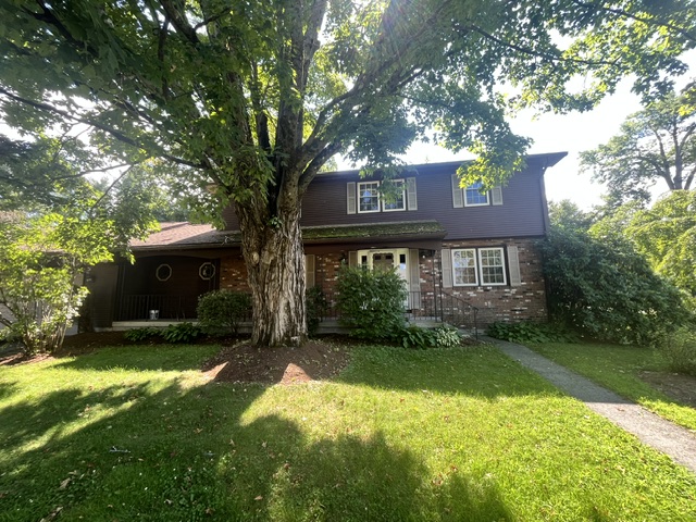 Focused Property Photo